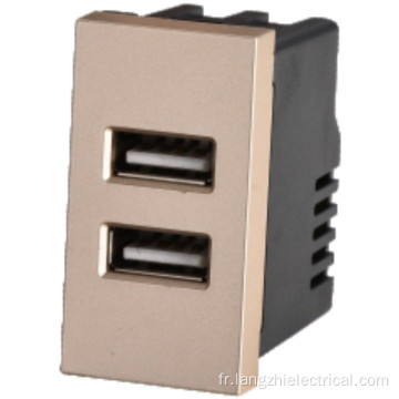 Prise USB à 2 ports 2.1a 5V (110-240V ~)